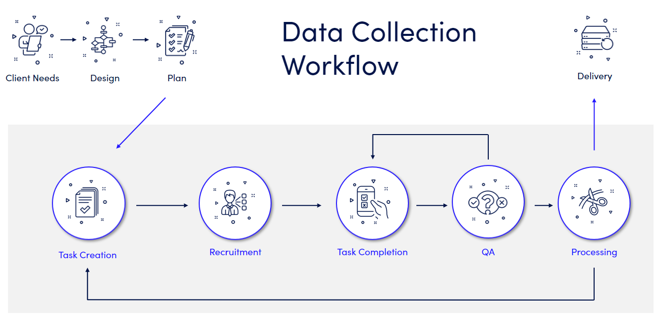 Data Collection Workflow