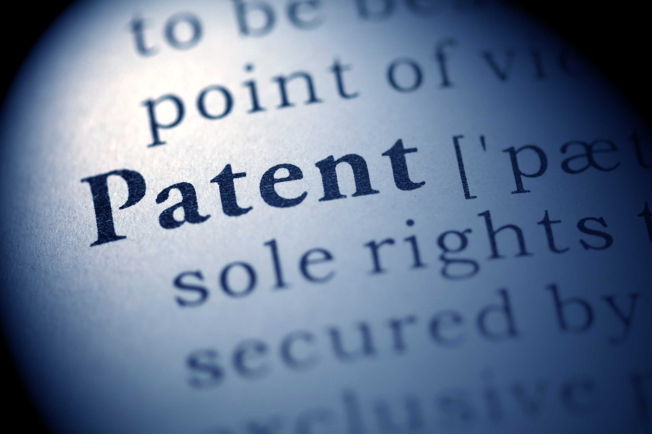 patent localization